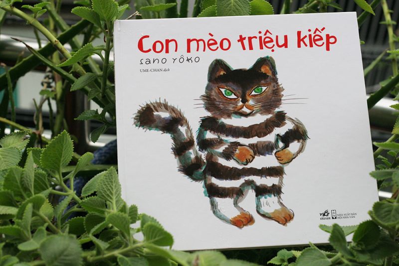 sách Con mèo triệu kiếp